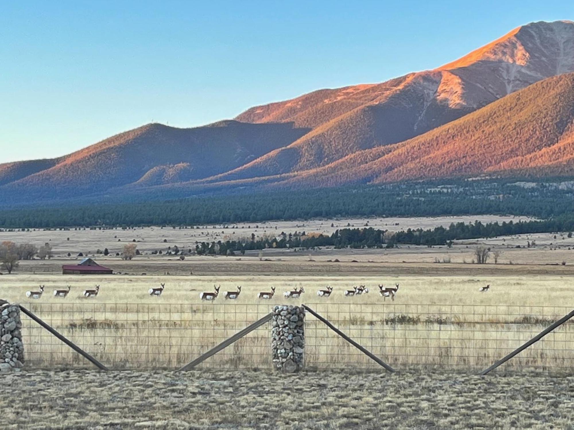 Buena Vista Mountain Retreat - Ultimate Privacy With Spa & Unbeatable Views Exteriör bild